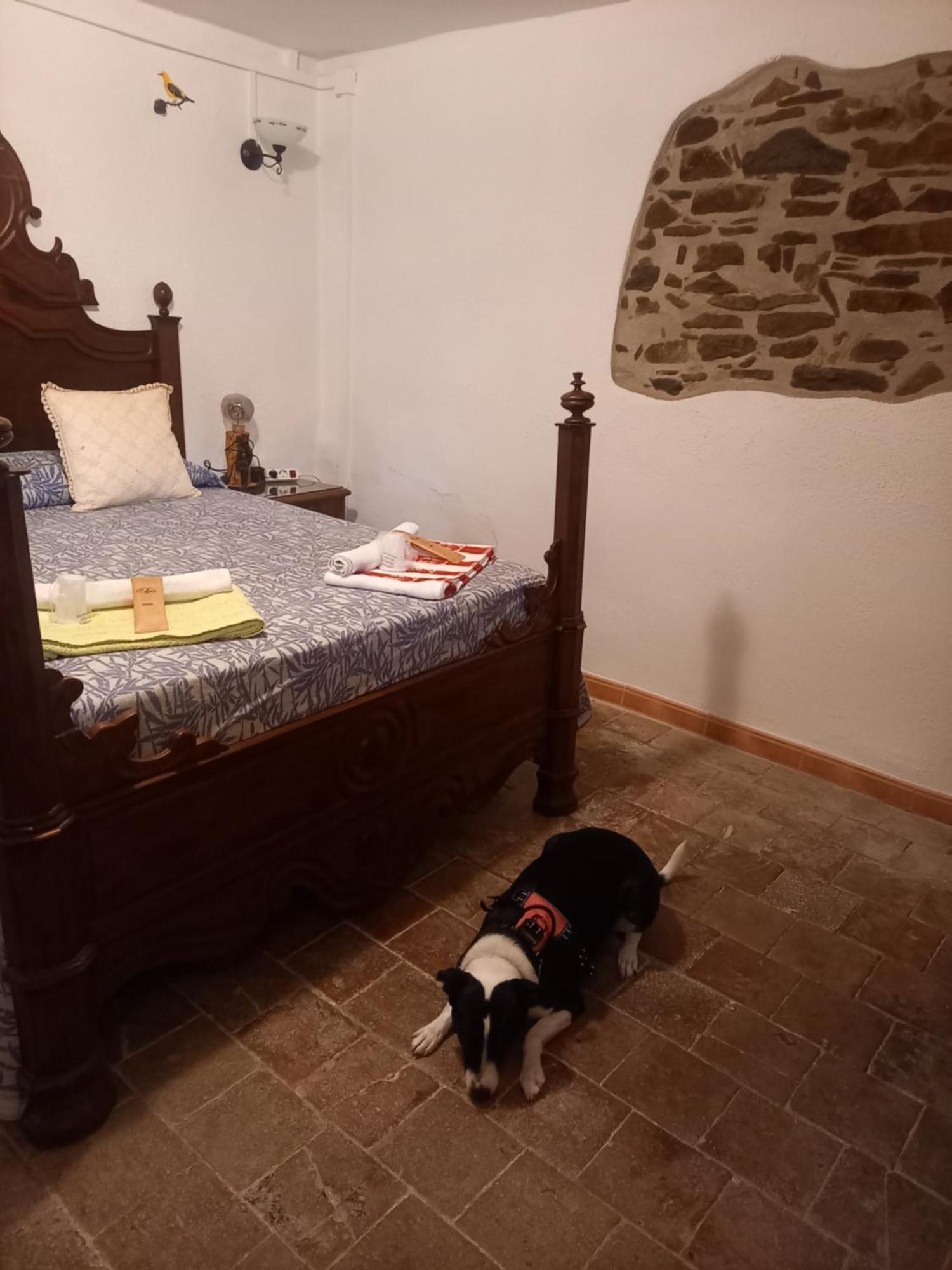 Hostal Rural Mas Blanc San Martín de Centellas Εξωτερικό φωτογραφία