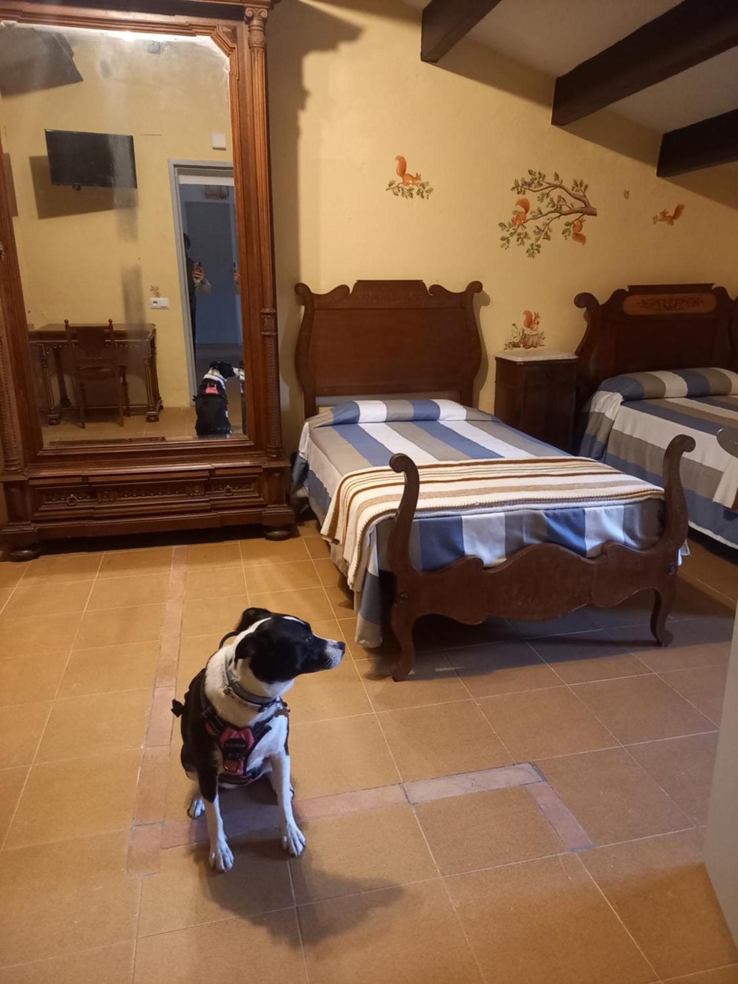 Hostal Rural Mas Blanc San Martín de Centellas Εξωτερικό φωτογραφία