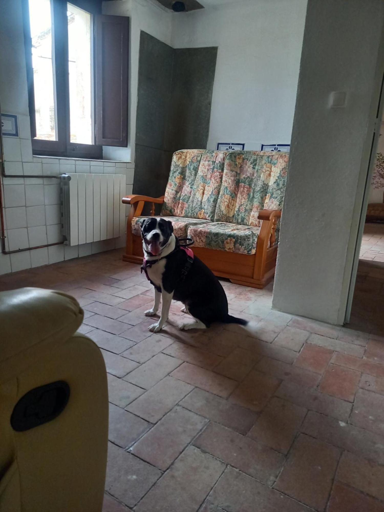Hostal Rural Mas Blanc San Martín de Centellas Εξωτερικό φωτογραφία